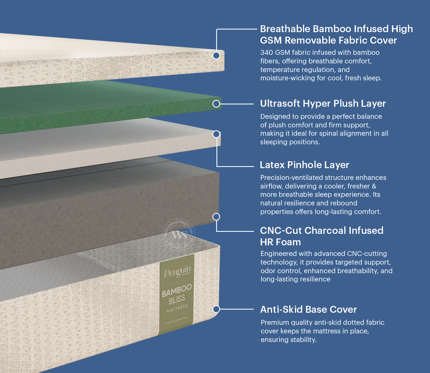 Penguin Bamboo Bliss Mattress with 10-Year Warranty – King Size (78x72x8 inches, Green) view 7