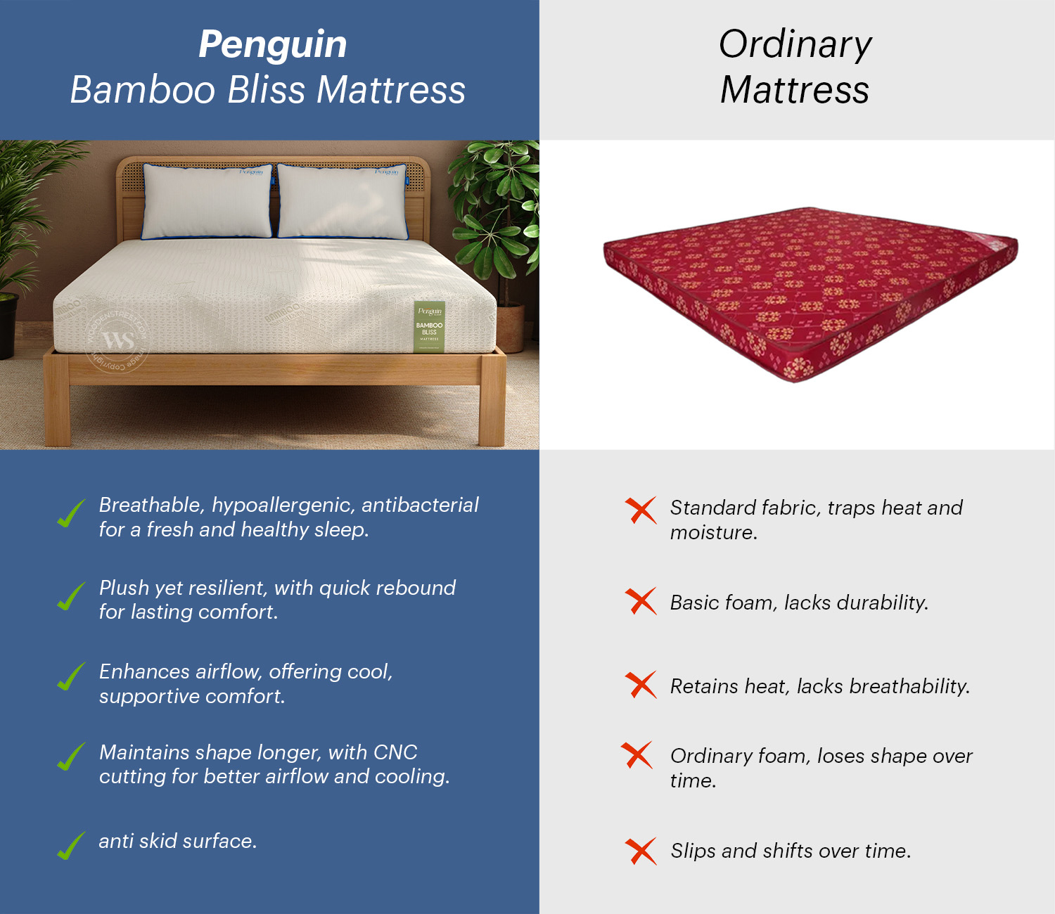 Penguin Bamboo Bliss Mattress with 10-Year Warranty – King Size (78x72x8 inches, Green) view 6